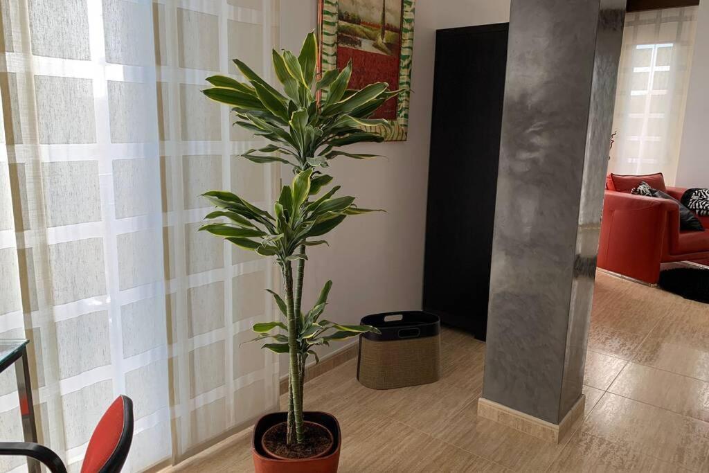 Miramar . Amplitud Y Comodidad Apartment Almazora
