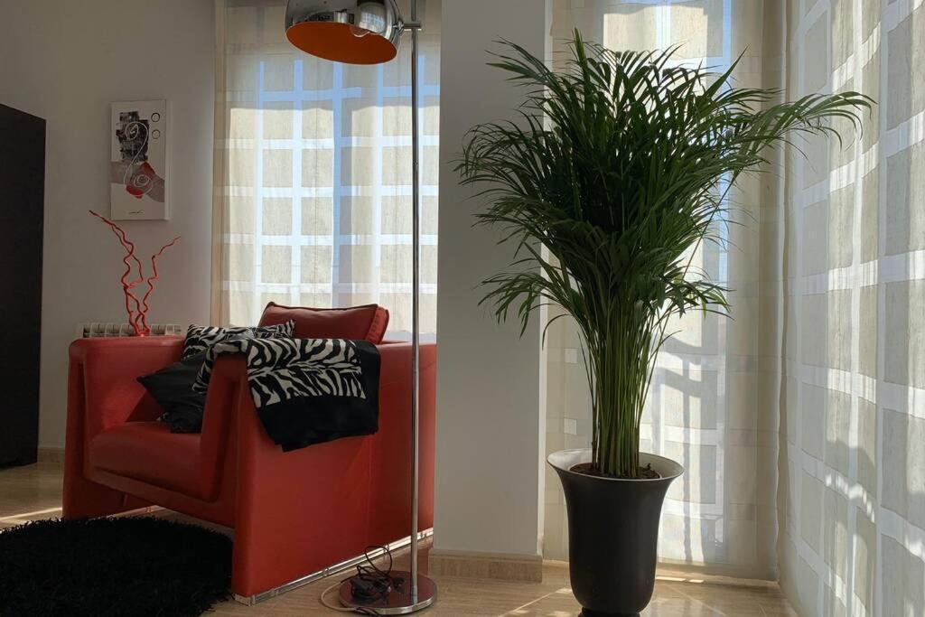 Miramar . Amplitud Y Comodidad Apartment *
